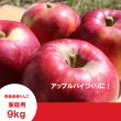 画像1: 紅玉　家庭用　９kg（約40-46個） ≪送料込≫ (1)