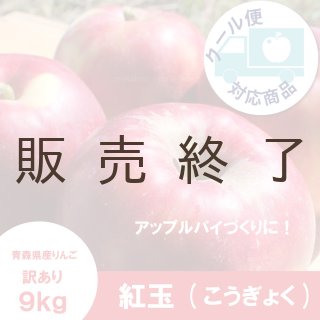 サンつがる【訳あり10kg】｜まさひろ林檎園