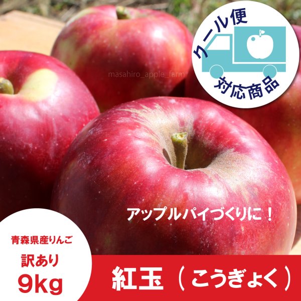 画像1: ※10月上旬発送予定※ 紅玉　訳あり　９kg（約46個前後） ≪送料込≫ (1)