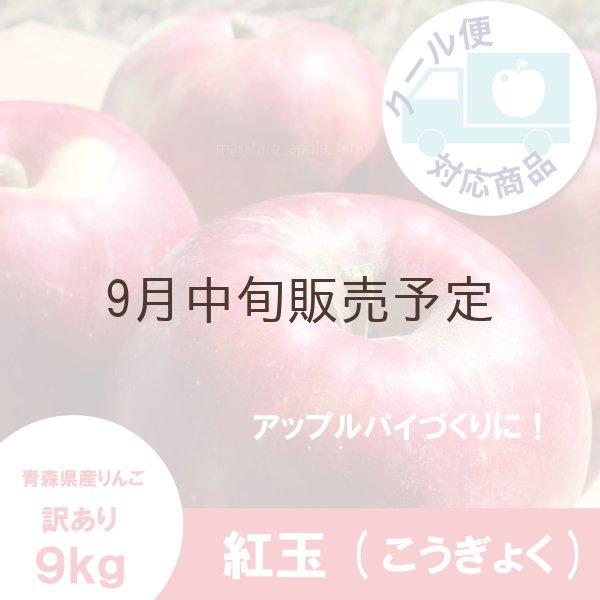 画像1: ※9月中旬販売予定※　紅玉　訳あり　９kg（約46個前後） ≪送料込≫ (1)