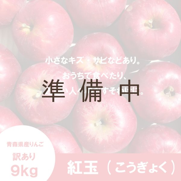 訳ありりんご約19キロを2つ 楽天市場】りんご 訳あり 10kg 送料無料（品種（りんご）ふじ
