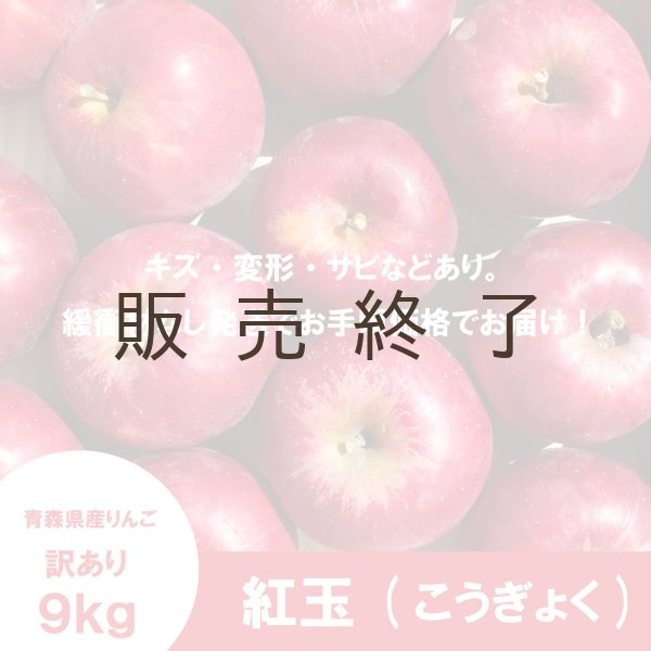 画像2: 紅玉 訳あり 9kg(約46個前後) ≪送料込≫ (2)