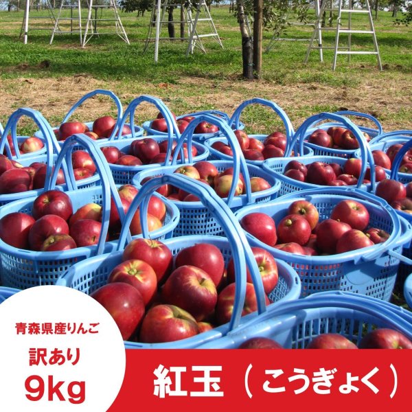 画像4: ※10月上旬発送予定※ 紅玉　訳あり　９kg（約46個前後） ≪送料込≫ (4)