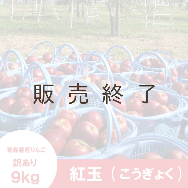 画像4: 紅玉 訳あり 9kg(約46個前後) ≪送料込≫ (4)