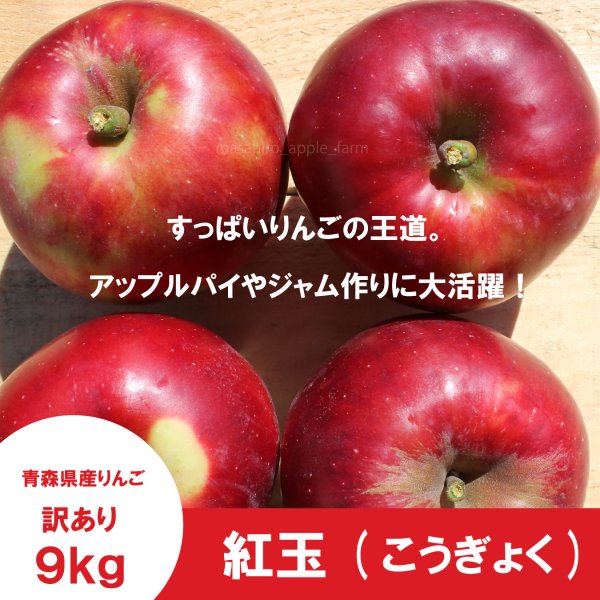 画像3: ※10月上旬発送予定※ 紅玉　訳あり　９kg（約46個前後） ≪送料込≫ (3)