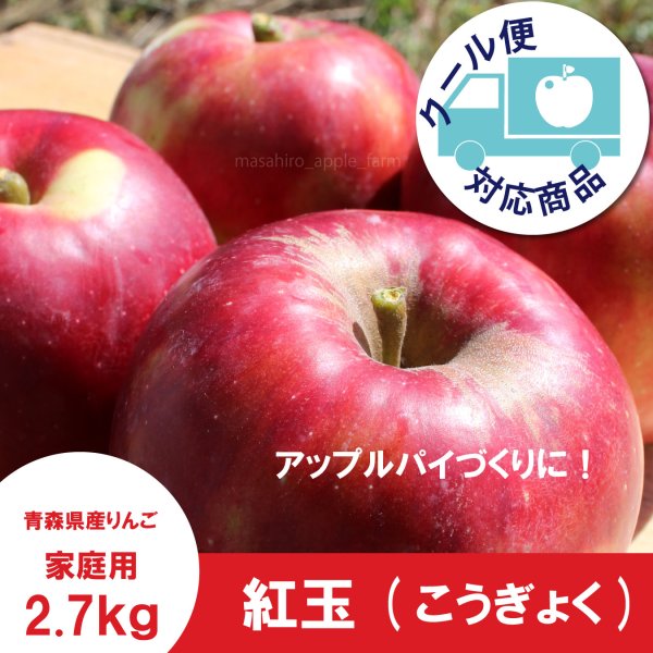 画像1: 紅玉　家庭用　２.７kg（約11-13個） ≪送料込≫ (1)