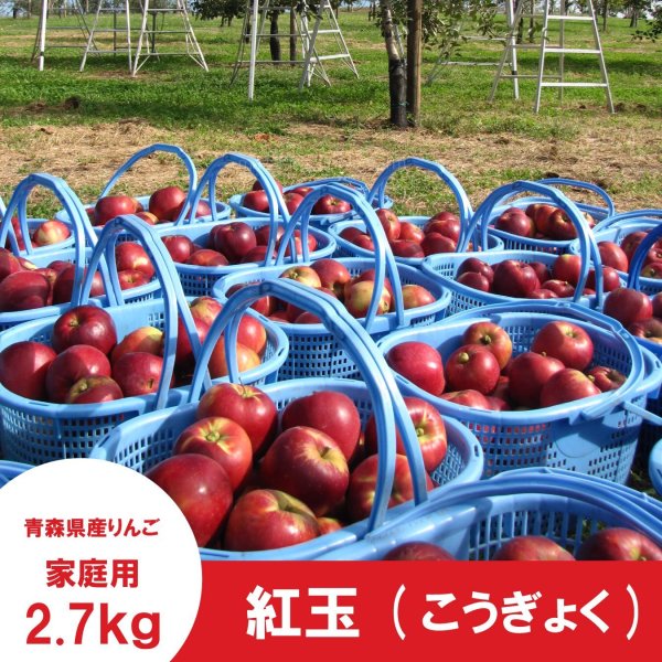 画像4: ※10月上旬発送予定※ 紅玉　家庭用　２.７kg（約11-13個） ≪送料込≫ (4)