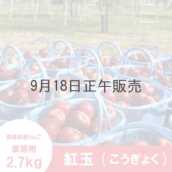 画像4: ※10月上旬発送予定※ 紅玉　家庭用　２.７kg（約11-13個） ≪送料込≫ (4)