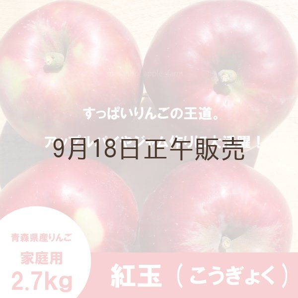 画像3: ※10月上旬発送予定※ 紅玉　家庭用　２.７kg（約11-13個） ≪送料込≫ (3)