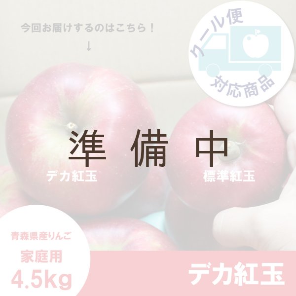 画像1: ※10/11〜10/17限定販売※ デカ紅玉　家庭用　4.5kg（約12-14個） ≪送料込≫ (1)