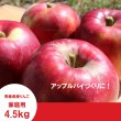 画像1: 紅玉　家庭用　４.５kg（約20-23個） ≪送料込≫ (1)