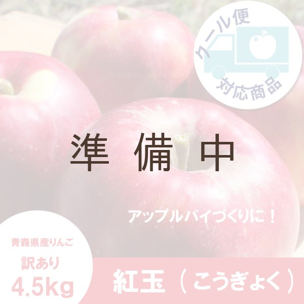 画像1: 紅玉　訳あり　４.５kg（約23個前後） ≪送料込≫ (1)