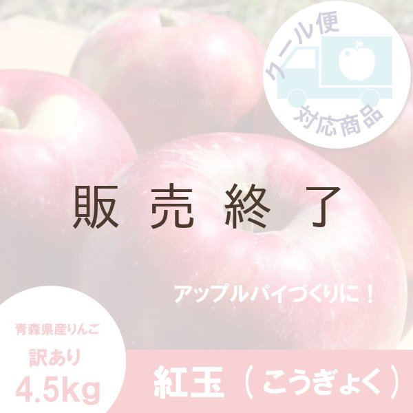 画像1: 紅玉 訳あり 4.5kg(約23個前後) ≪送料込≫ (1)