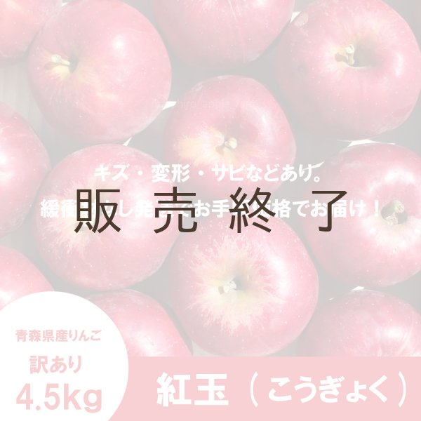 画像2: 紅玉 訳あり 4.5kg(約23個前後) ≪送料込≫ (2)