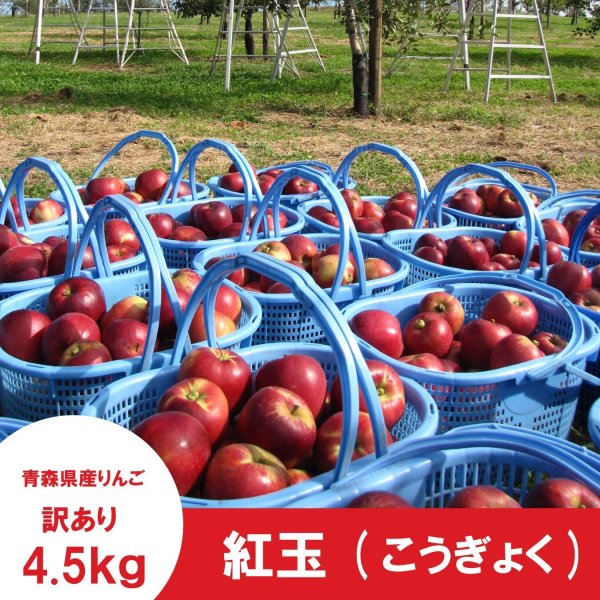 画像4: ※10月上旬発送予定※ 紅玉　訳あり　４.５kg（約23個前後） ≪送料込≫ (4)