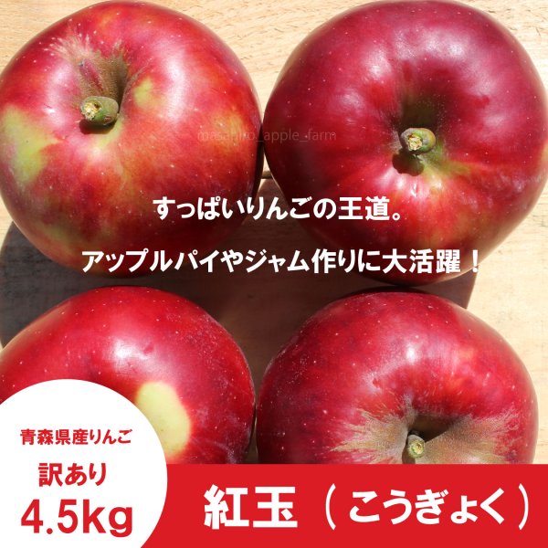 画像3: ※10月上旬発送予定※ 紅玉　訳あり　４.５kg（約23個前後） ≪送料込≫ (3)