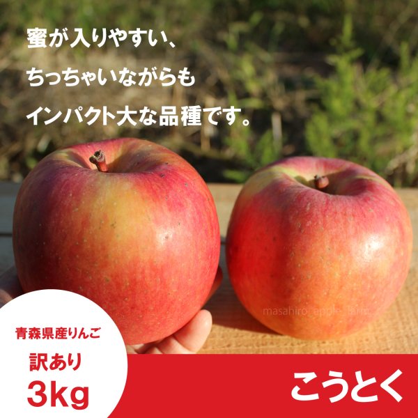 画像1: こうとく　訳あり　３kg ≪送料込≫ (1)