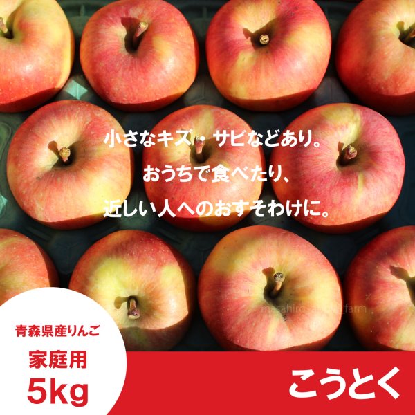 画像2: こうとく　家庭用　５kg（約20-23個）≪送料込≫ (2)
