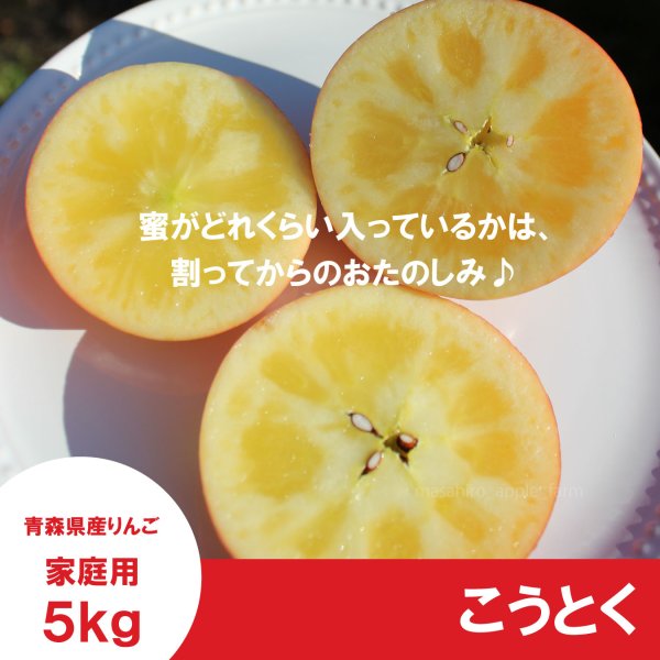 画像3: こうとく　家庭用　５kg（約20-23個）≪送料込≫ (3)