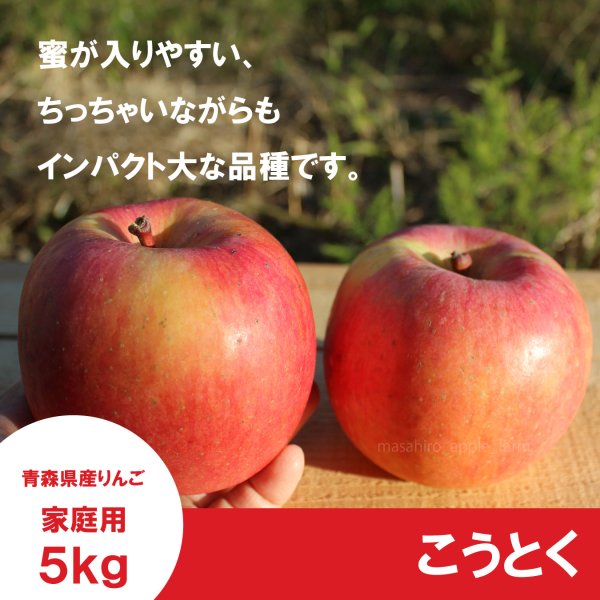 画像1: こうとく　家庭用　５kg（約20-23個）≪送料込≫ (1)