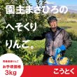 画像1: ☆園主のへそくりりんご☆ こうとく お手頃価格３kg ≪送料込≫ (1)