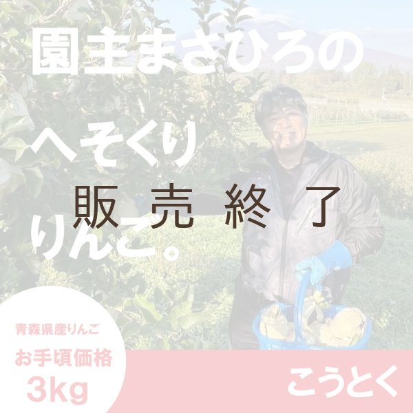 画像1: ☆園主のへそくりりんご☆ こうとく お手頃価格３kg ≪送料込≫ (1)