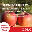 画像2: ☆園主のへそくりりんご☆ こうとく お手頃価格３kg ≪送料込≫ (2)