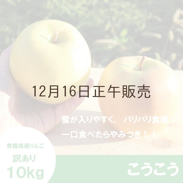 画像1: こうこう　訳あり　１０kg（約40個程度）≪送料込≫ (1)
