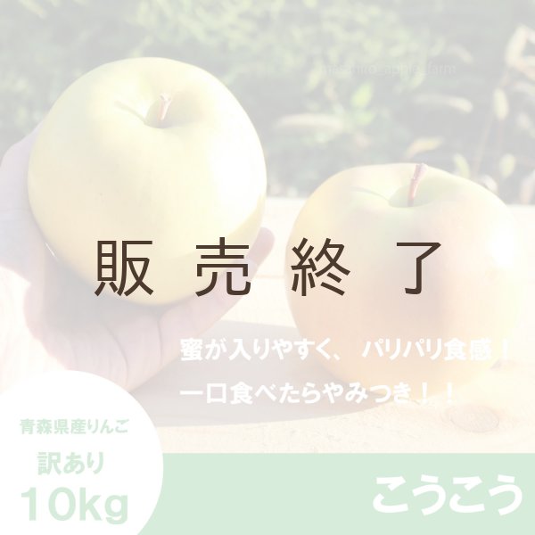 画像1: こうこう　訳あり　１０kg（約40個程度）≪送料込≫ (1)