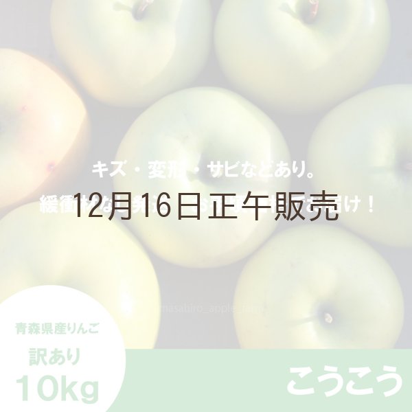 画像2: こうこう　訳あり　１０kg（約40個程度）≪送料込≫ (2)