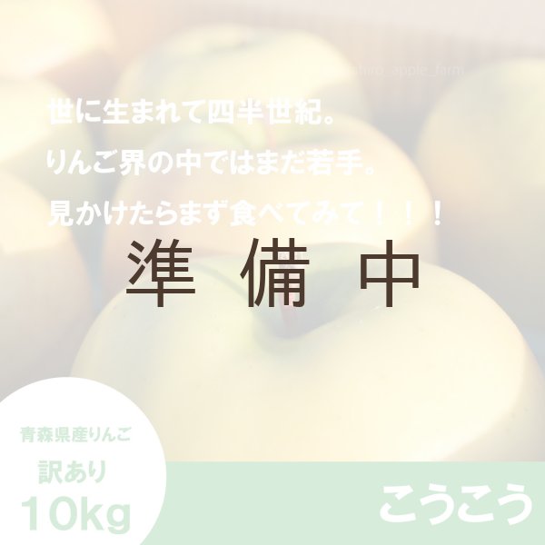 画像3: こうこう 訳あり 10kg(約40個程度)≪送料込≫ (3)