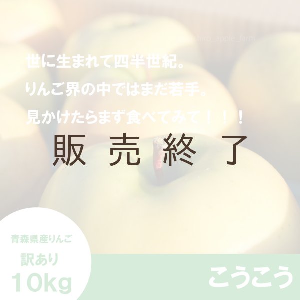 画像3: こうこう　訳あり　１０kg（約40個程度）≪送料込≫ (3)