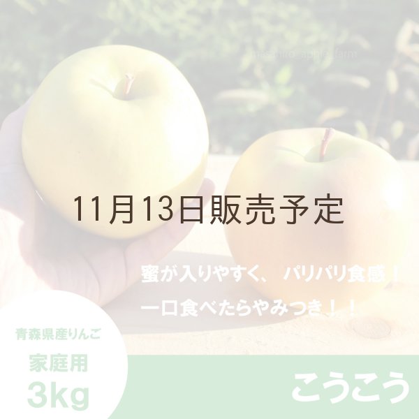 画像1: ※11月中〜下旬発送※ こうこう　家庭用　３kg（約9-12個）≪送料込≫ (1)