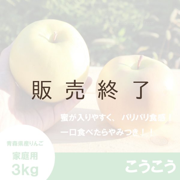 画像1: こうこう　家庭用　３kg（約9-12個）≪送料込≫ (1)