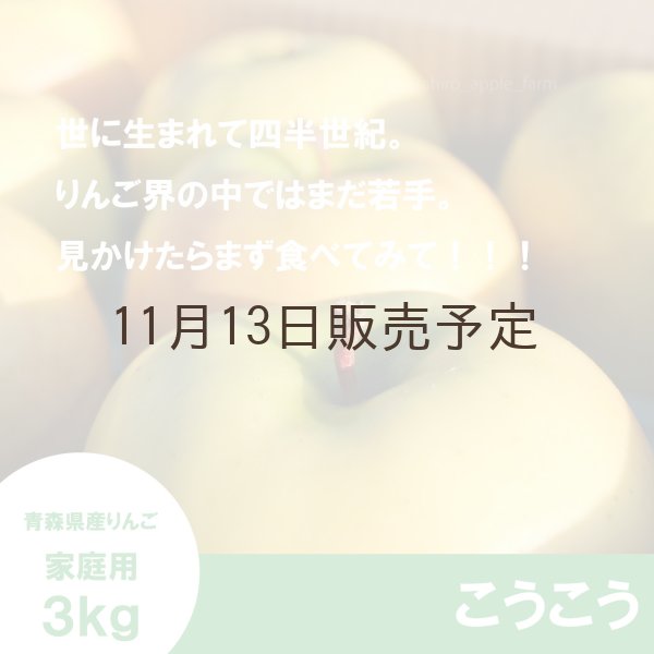 画像3: ※11月中〜下旬発送※ こうこう　家庭用　３kg（約9-12個）≪送料込≫ (3)