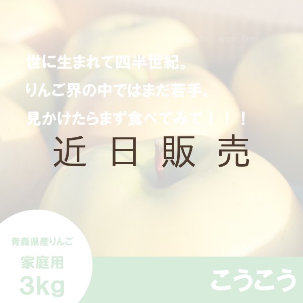 画像3: こうこう　家庭用　３kg（約9-12個）≪送料込≫ (3)