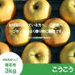 画像2: こうこう　贈答用　３kg ≪送料込≫ (2)