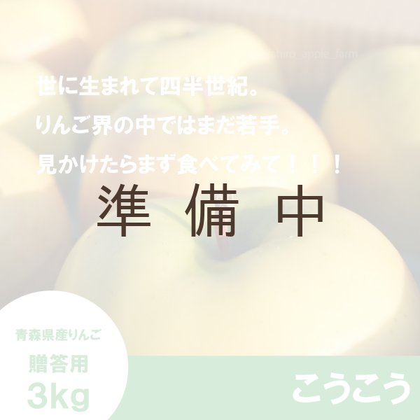 画像3: こうこう　贈答用　３kg ≪送料込≫ (3)