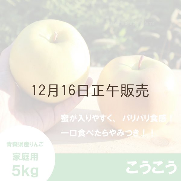 画像1: こうこう　家庭用　５kg（約14-20個）≪送料込≫ (1)