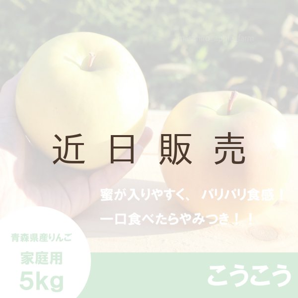 画像1: こうこう　家庭用　５kg（約14-20個）≪送料込≫ (1)