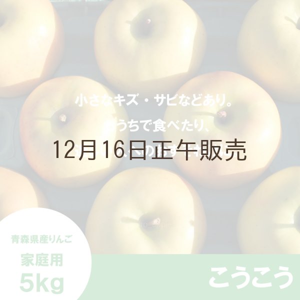 画像2: こうこう　家庭用　５kg（約14-20個）≪送料込≫ (2)