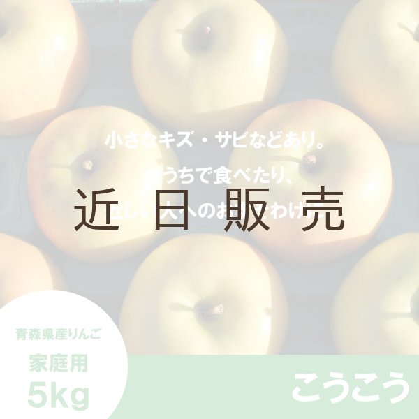 画像2: こうこう　家庭用　５kg（約14-20個）≪送料込≫ (2)