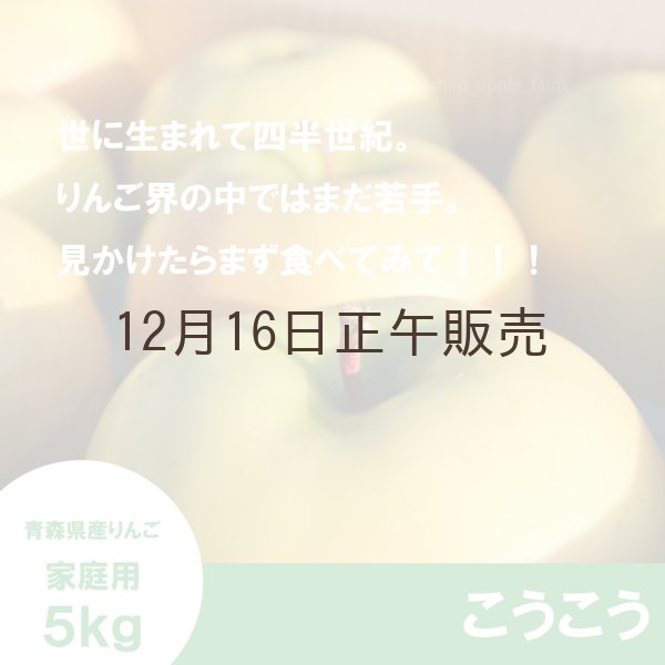 画像3: こうこう　家庭用　５kg（約14-20個）≪送料込≫ (3)