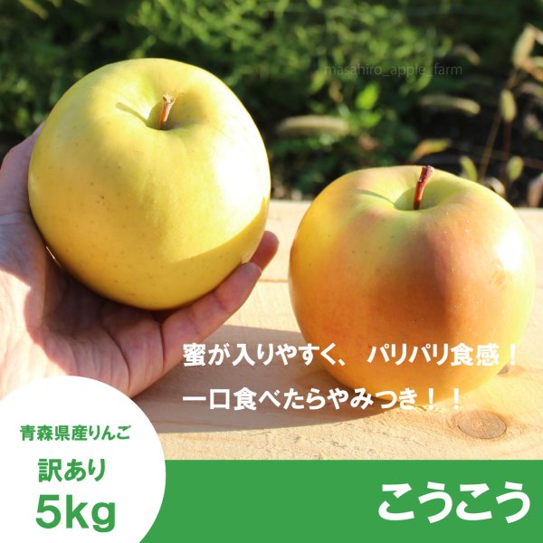 画像1: こうこう　訳あり　５kg（約20個程度）≪送料込≫ (1)