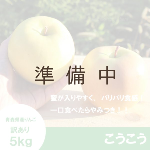 画像1: こうこう　訳あり　５kg（約20個程度）≪送料込≫ (1)