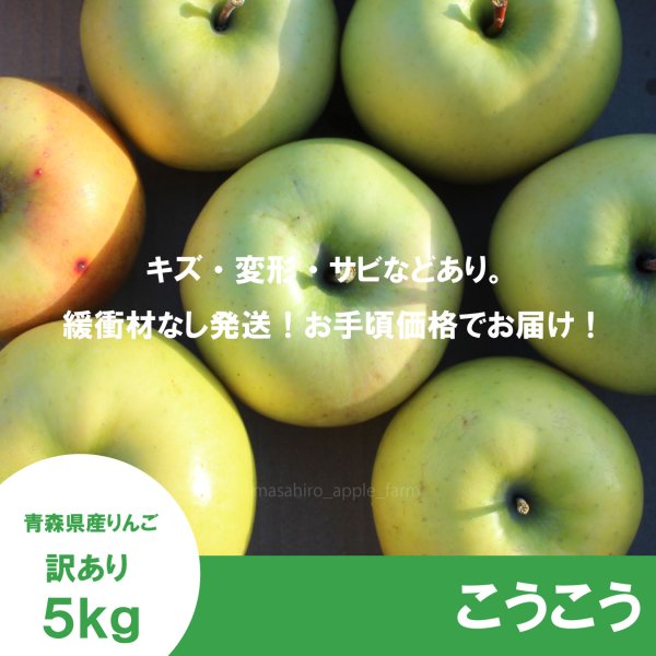 画像2: こうこう　訳あり　５kg（約20個程度）≪送料込≫ (2)