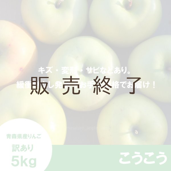 画像2: こうこう　訳あり　５kg（約20個程度）≪送料込≫ (2)