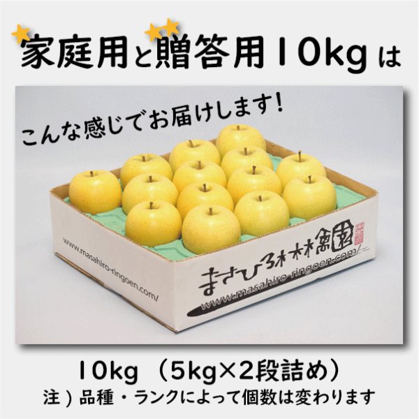 画像4: 星の金貨　家庭用　１０kg（約28-40個）≪送料込≫ (4)