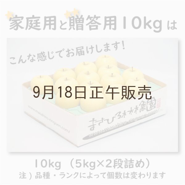 画像4: ※10月中旬発送予定※ トキ　家庭用　１０kg（約28-40個） ≪送料込≫ (4)