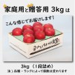 画像4: ※12月上旬発送※ 葉とらずサンふじ　家庭用　３kg（約9-12個）≪送料込≫ (4)